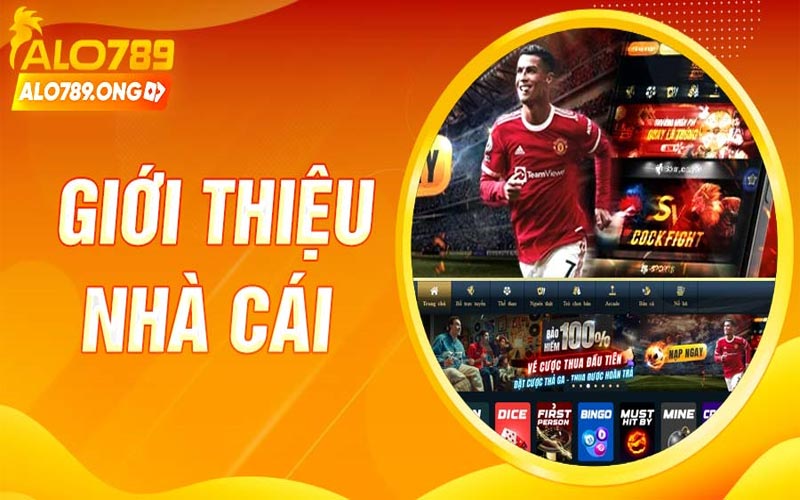 Giới thiệu Alo789 - Trang đá gà trực tiếp nhận quà mỗi ngày