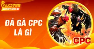 Đá Gà CPC Là Gì?