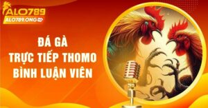 xem đá gà trực tiếp Thomo bình luận viên tại Alo789