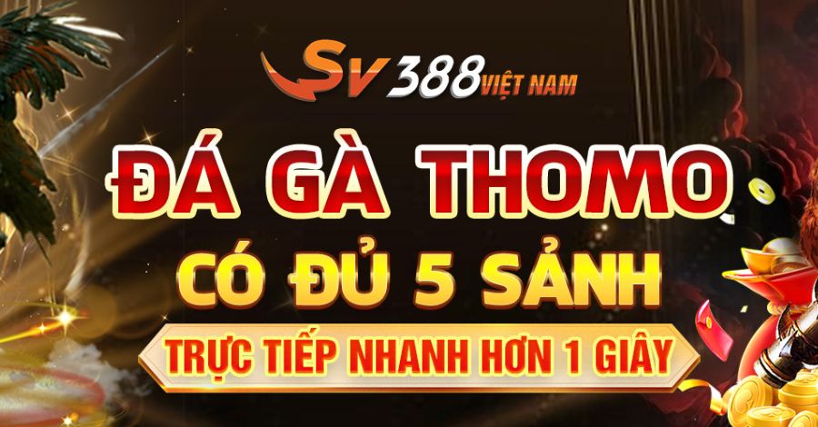 Giới thiệu một số thông tin về sảnh gà SV388