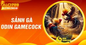 Sảnh Gà Odin Gamecock