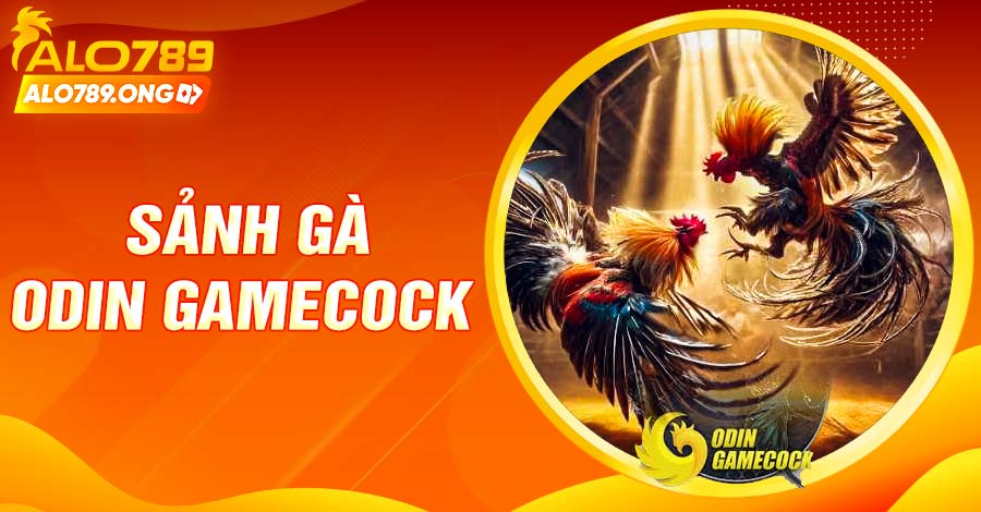 Sảnh Gà Odin Gamecock