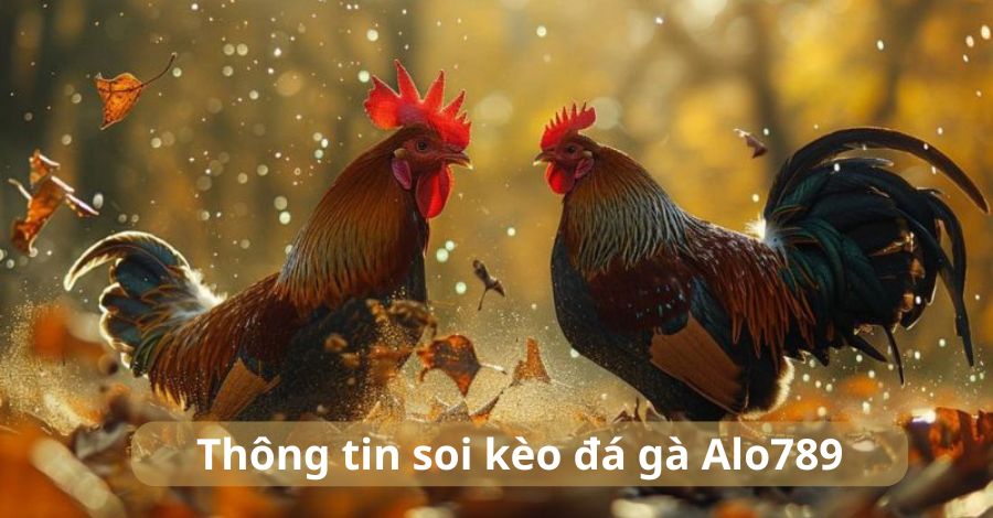 Tìm hiểu thông tin soi kèo đá gà Alo789