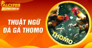 Hé Lộ Thuật Ngữ Đá Gà Thomo