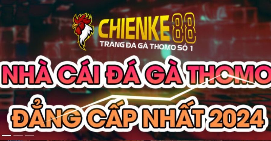 Tìm hiểu thông tin về trang đá gà CHIENKE88