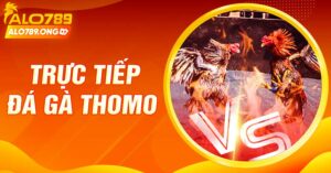 Trực Tiếp Đá Gà Thomo