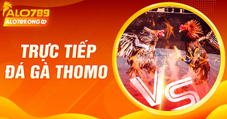 Trực Tiếp Đá Gà Thomo