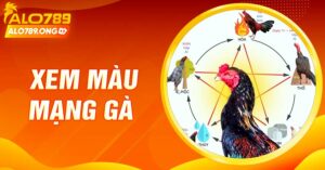 Hướng Dẫn Xem Màu Mạng Gà