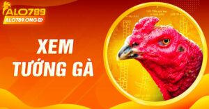 Cách Xem Tướng Gà